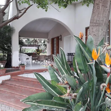 La Casa Di Elisa Con Piscina *